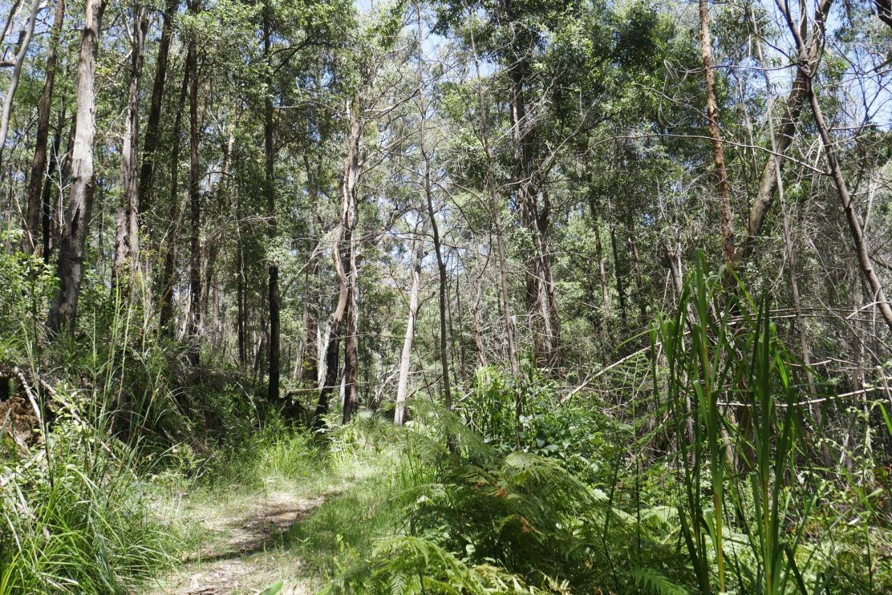 True North - 4Br Home & Garden In Bush Setting With Huge Bath Bilpin Exteriér fotografie
