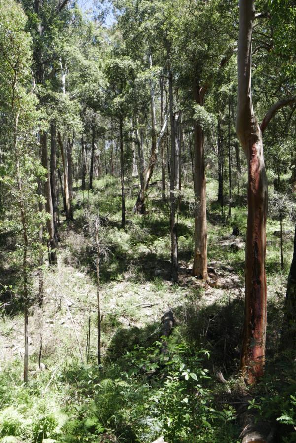 True North - 4Br Home & Garden In Bush Setting With Huge Bath Bilpin Exteriér fotografie
