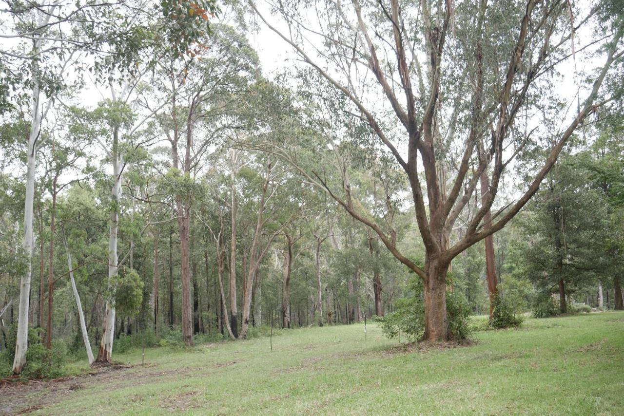 True North - 4Br Home & Garden In Bush Setting With Huge Bath Bilpin Exteriér fotografie