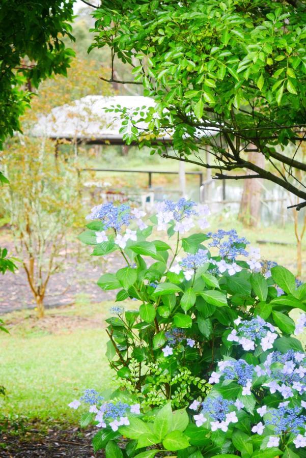 True North - 4Br Home & Garden In Bush Setting With Huge Bath Bilpin Exteriér fotografie